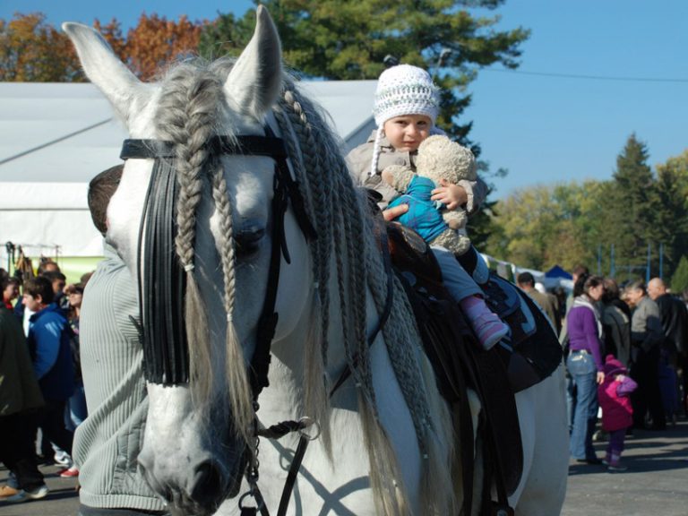 Copiii-au-vizitat-si-ei-targurile-de-la-Romexpo