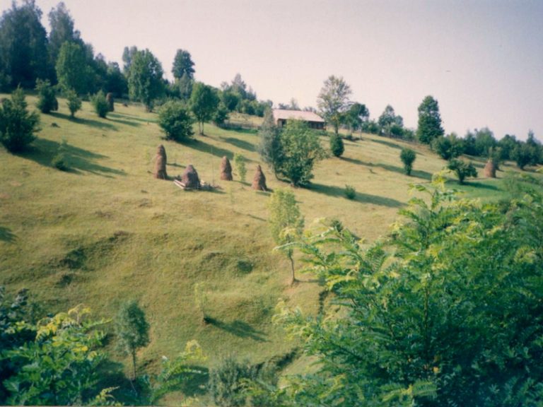 Peisaj-din-Sangeorz-Bai