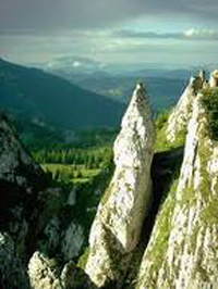 Varfuri