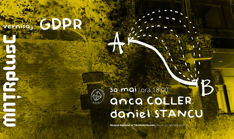 Expozitia artistilor Anca Coller si Daniel Stancu